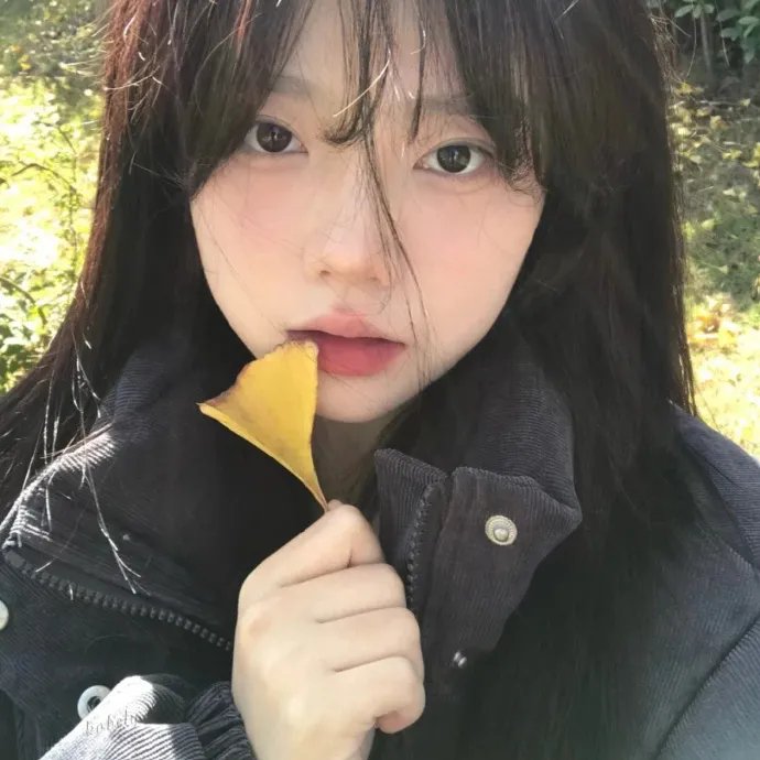 洗衣房的奇妙世界